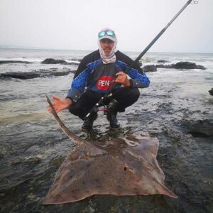 Spearnose Skate caught while shore fishing in Jeffreys Bay