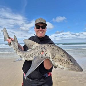 Spotted Gully Shark (Spottie) caught while shore fishing in Jeffreys Bay