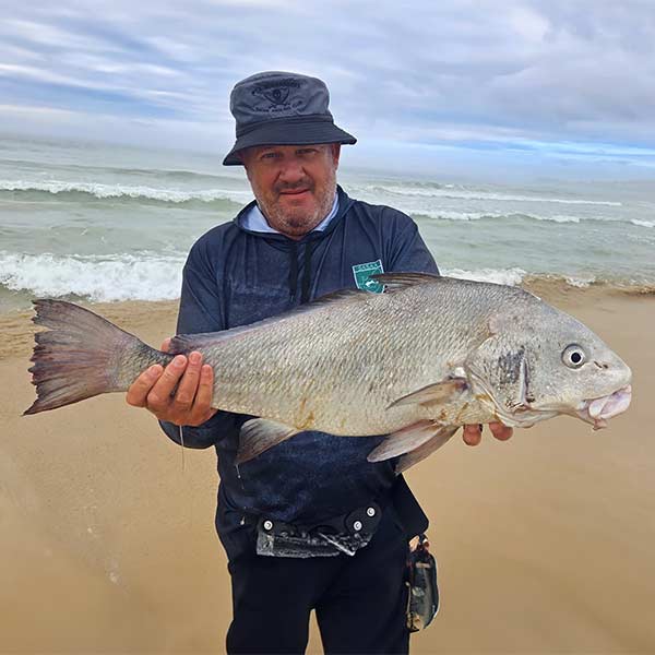 Baardman caught during guided shore fishing in Jeffreys Bay