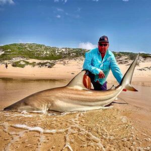 Fish species Jeffreys Bay - Blackfin Shark