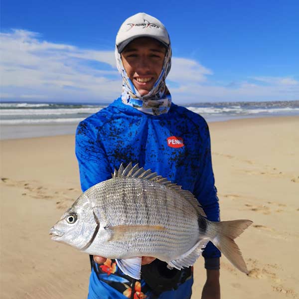 Blacktail caught during guided shore fishing in Jeffreys Bay