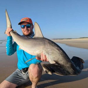 Hammerhead Shark caught while shore fishing in Jeffreys Bay