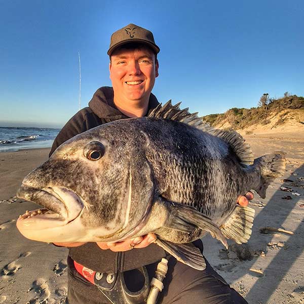 Black Musselcracker caught in Jeffreys Bay