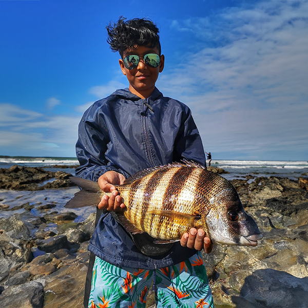Zebra Bream caught while shore fishing in Jeffreys Bay
