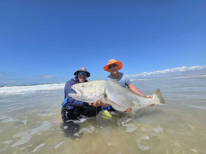 Kabeljou (Cob) caught while shore fishing in Jeffreys Bay