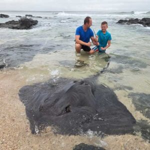 Thorntail Ray caught during guided shore fishing in Jeffreys Bay